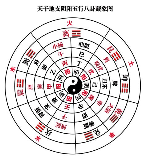 东南西北五行|东南西北五行方位 东南西北五行方位图